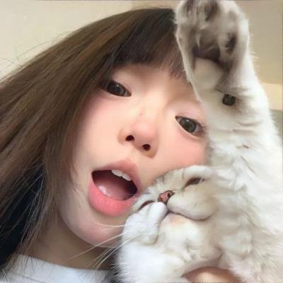 北部丛林